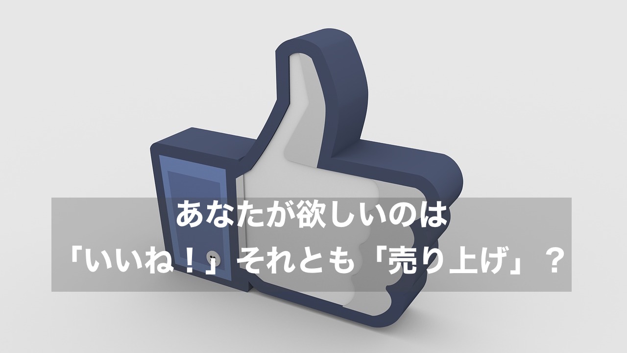 あなたが欲しいのは いいね それとも 売り上げ いただきコンサルティングー理想の生き方を実現する方法